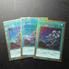 同胞の絆　3枚のサムネイル