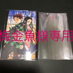 梅金魚様専用ページのサムネイル