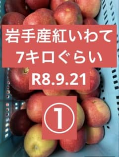 岩手産紅いわて　家庭用7キロR8.9.21のサムネイル