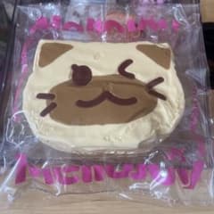 N*T様 mellojoy メロジョイ　ぐーぐートースト　シャム猫のサムネイル