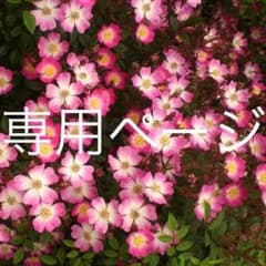 しめじさま専用 セーラームーン 4種のサムネイル