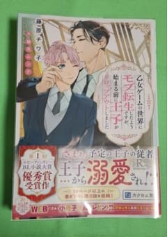 乙女ゲームの世界にモブ転生したようですが、始まる前に王子がドロップアウトしましたのサムネイル
