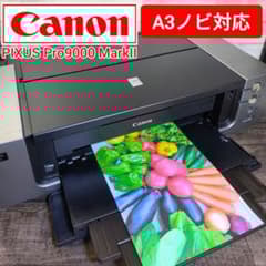 動作良好】Canon A3プリンター PIXUS Pro9000 MarkⅡ - メルカリ