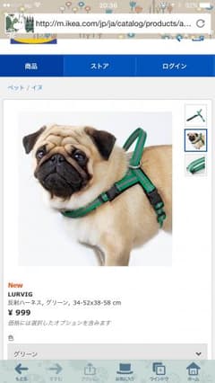ハーネス  犬   IKEAのサムネイル