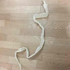 蛇の皮のサムネイル