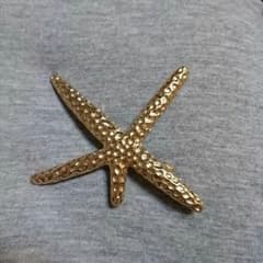 ★★ヒトデバレッタ★★のサムネイル
