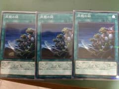 同胞の絆 3枚のサムネイル