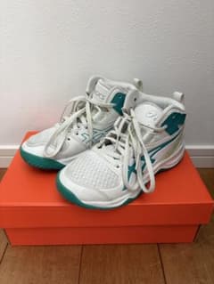 asics ダンクショット バッケットボールシューズ　DUNKSHOT 20㎝