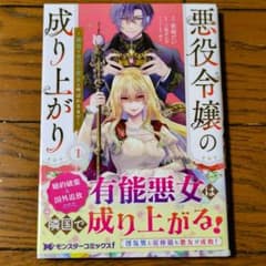 悪役令嬢の成り上がり～隣国で宝石の聖女と呼ばれるまで～ 1巻 漫画