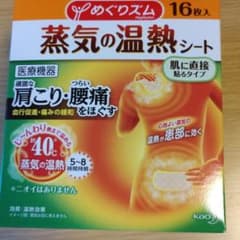 めぐりズム蒸気の温熱シート　16枚入りのサムネイル