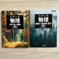 名問の森 物理 四訂版 2冊セットのサムネイル