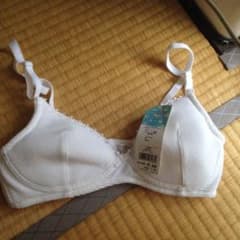 ブラジャー グンゼのサムネイル