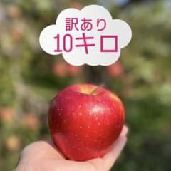 りんご　サンフジ　訳あり　10キロ　山形県朝日町産のサムネイル