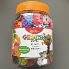 脳を育てるGESTAR ジスターのサムネイル