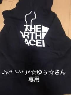 THE NORTH FACEパーカーのサムネイル