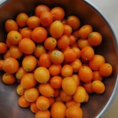 金柑　約５００gのサムネイル