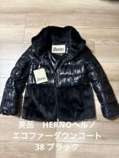 限定再々お値下げ中❣️美品HERNOヘルノ❤️エコファーダウンコート38 