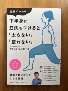下半身に筋肉をつけると「太らない」「疲れない」のサムネイル