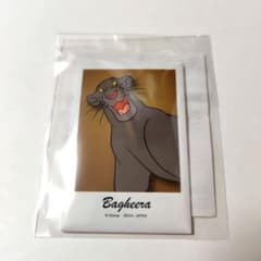 세가 럭키 복권 온라인 E 상 캔 배지 바기라