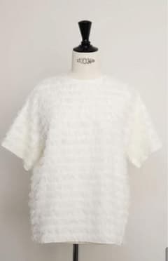 Gypsohila ジプソフィア　Feather Teeのサムネイル
