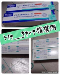 ビルバック　歯みがきペースト2本セット【チキンフレーバー】のサムネイル