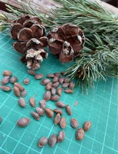 m46372416635_1.jpg?1712424738