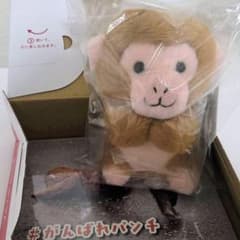 ☆チラシ付【新品・未使用】ニホンザル ぬいぐるみ 市川市動植物園