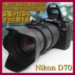 ✨激レアショット数たったの２７４回✨ニコン D70 近遠対応万能レンズセット✨ ✨激レアショット数たったの274回✨ニコン D70 近遠対応万能レンズ