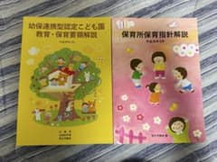 保育所保育指針解説 幼保連携型認定こども園教育・保育要領解説 2冊セットのサムネイル