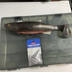 安いシグナル カープヘッドの通販商品を比較 | ショッピング情報の