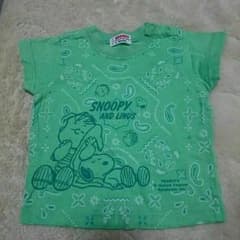 ファミリアsize80のサムネイル