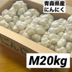 大特価】青森県産 にんにく M 20kg 福地ホワイト 免疫力アップ 激安