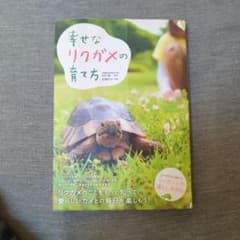 幸せなリクガメの育て方のサムネイル