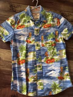Hollisterのサムネイル