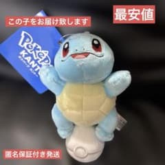 ポケパークカントー限定　カメックス ゼニガメ ぬいぐるみセット(おまけ付) ポケパーク カントー ゼニガメ ぬいぐるみ マスコット 限定 夏グッズ