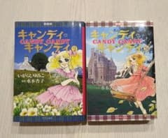 イラスト サイン入り キャンディ・キャンディ 全2巻 愛蔵版
