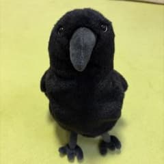 《値下げ済み》BESTEVER カラスのペンケースのサムネイル