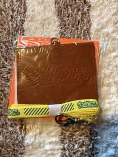 Southern All Stars パスケースのサムネイル