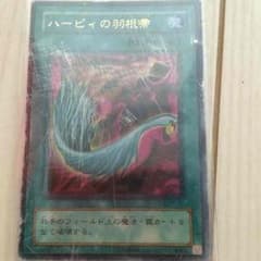 ハーピィの羽根箒のサムネイル