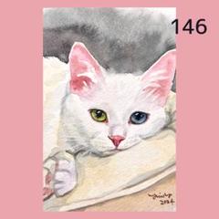 猫の絵 146 水彩画 原画 白猫 - メルカリ