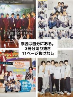 原因は自分にある。3冊分11ページ切り抜き TVnavi表紙付 JUNONのサムネイル
