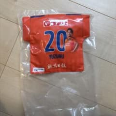 アルビレックス新潟 YUZURU 20 サッカージャージクッションのサムネイル