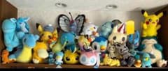 포켓몬 봉제인형 POKEMON 한정품