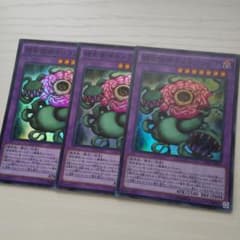 遊戯王 捕食植物キメラフレシア 3枚のサムネイル