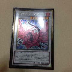 ブラックローズドラゴンのサムネイル