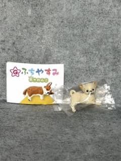 ふちやすみ 色々わんこ 「チワワ」のサムネイル