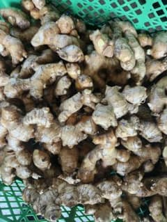 高知県産親生姜　4キロのサムネイル