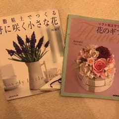 樹脂粘土 本のサムネイル