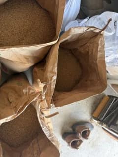 鳥 えさ 鶏 エサ 餌 玄米 白米 20kg くず米　R7年度産コシヒカリのサムネイル