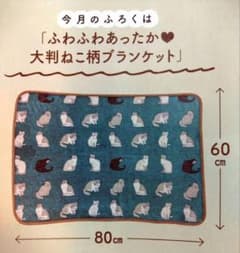 ねこのきもち　付録　ふわふわあったか♡大判ねこ柄ブランケットのサムネイル